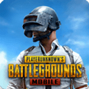 pubg地铁逃生2024最新版 v3.1.0安卓版