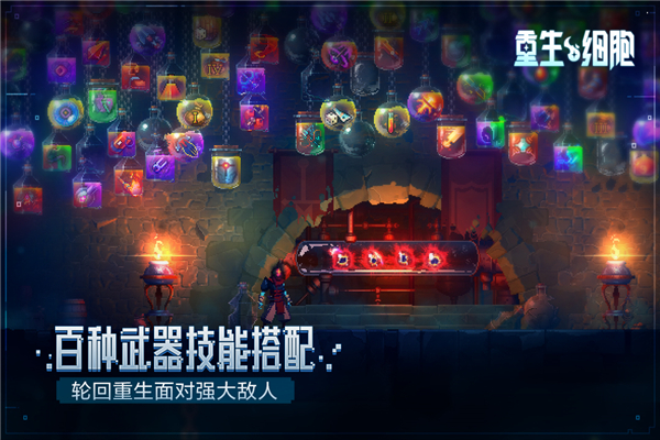 重生细胞哔哩哔哩版本